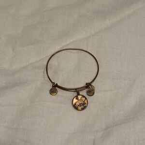 Alex and Ani Gold Leo Bracelet